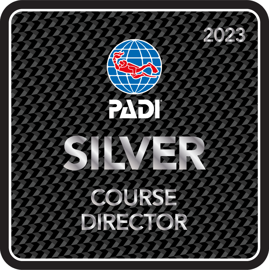 21775014_2023_2_download